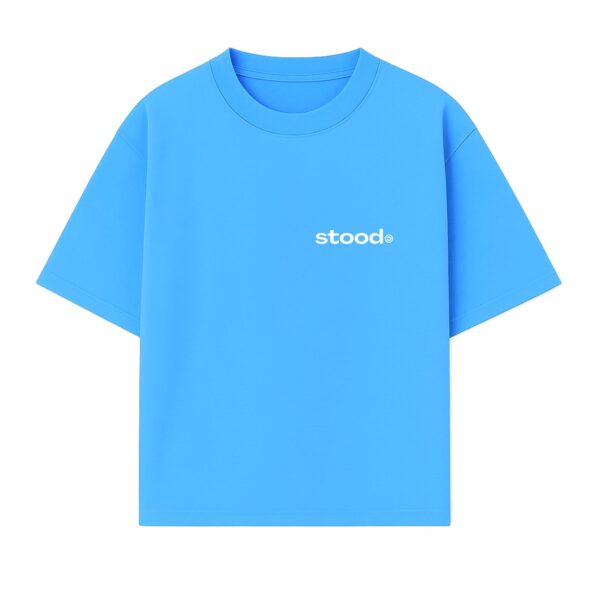 Worldwide Lion baby blue tee 05